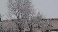 بارش برف شدید بهاری خوی را سپیدپوش کرد+ویدئو 