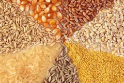 نگاهی به آمار واردات، ترخیص و توزیع نهاده های دامی