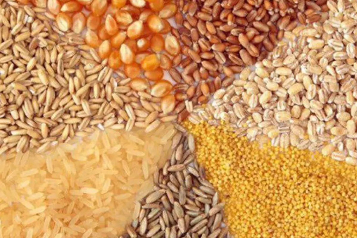 نگاهی به آمار واردات، ترخیص و توزیع نهاده های دامی