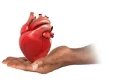 دیابت بر روی قلب چه تاثیری دارد؟ | تاثیر دیابت بر قلب و نحوه مقابله با آن