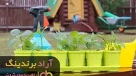 تکنیک کنترل زمان برای رسیدن به موفقیت