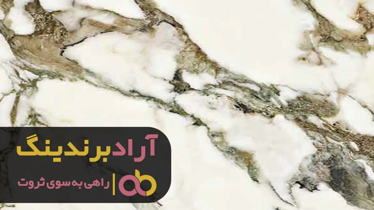 من با قرار گرفتن در مدار ثروت میلیاردر شدم