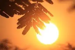 صدور هشدار |  استقرار توده هوای گرم  و رطوبت در خوزستان 