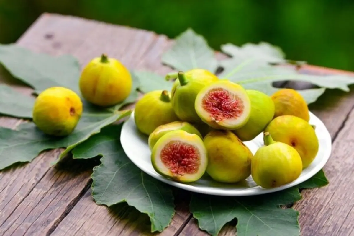 چگونه انجیر به پیشگیری از سرطان کمک می‌کند؟ 