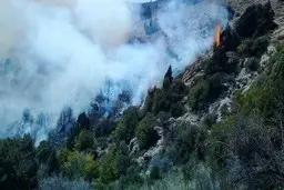 
 آتش سوزی |  عامل ایجاد حریق در آق داغ خلخال حین ارتکاب جرم دستگیرشد
