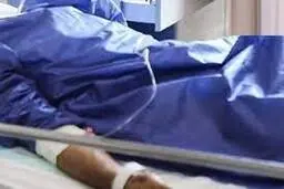 ضاربان خانم مقابل مدرسه مسموم شده، تحویل دادستانی تهران داده شدند