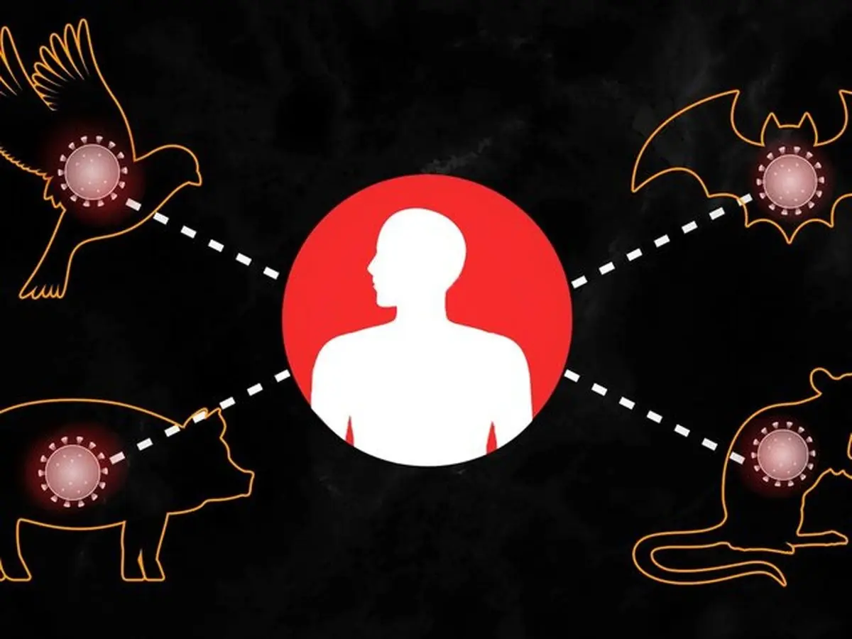 پیش‌بینی‌ هوش مصنوعی در مورد ویروس‌های بعدی که قرار است از حیوان به انسان منتقل شوند