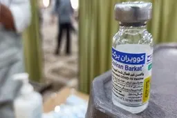 فروش واکسن برکت تکذیب شد |  تزریق رایگان واکسن آنفلوآنزا برای گروه های حساس