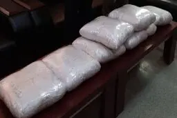 کشف ۱۲ کیلو تریاک در ساندویچ‌ساز! | کشف ۱۲ کیلوگرم مواد مخدر از نوع تریاک در فرودگاه امام خمینی (ره) + عکس