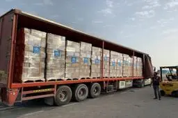 سرقت محموله ۴۰۰ هزار یورویی ماسک‌های فرانسوی در اسپانیا 