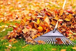برای پاییز بی‌باران آماده شوید