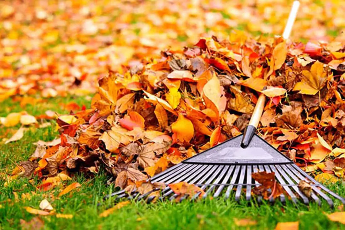 برای پاییز بی‌باران آماده شوید