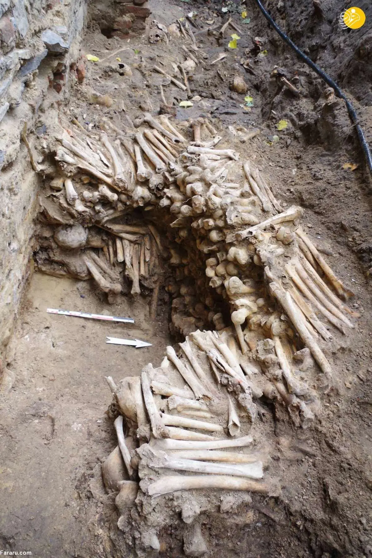  کشف دیوار ساخته شده از استخوان‌ انسان! 