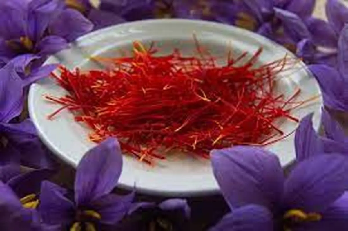 هرگز برای پودر کردن زعفران از قند استفاده نکن! | ترفند دم کردن صحیح زعفران و نگهداری آن +ویدئو