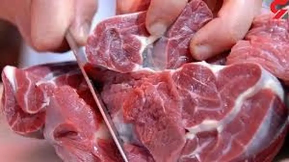 قیمت گوشت قرمز را بالا برده‌اند که واردات توجیه پیدا کند
