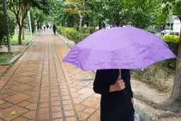 فعالیت سامانه بارشی در کل کشور | کدام استان‌ها بیشترین شدت بارش را تجربه می‌کنند؟