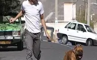 کارزار علیه نگهداری حیوان خانگی با حمایت ستاد امر به معروف تهران | دشمن می‌خواهد نگهداری حیوان خانگی را در جامعه عادی کند | کجای این دنیا ایستاده ایم!