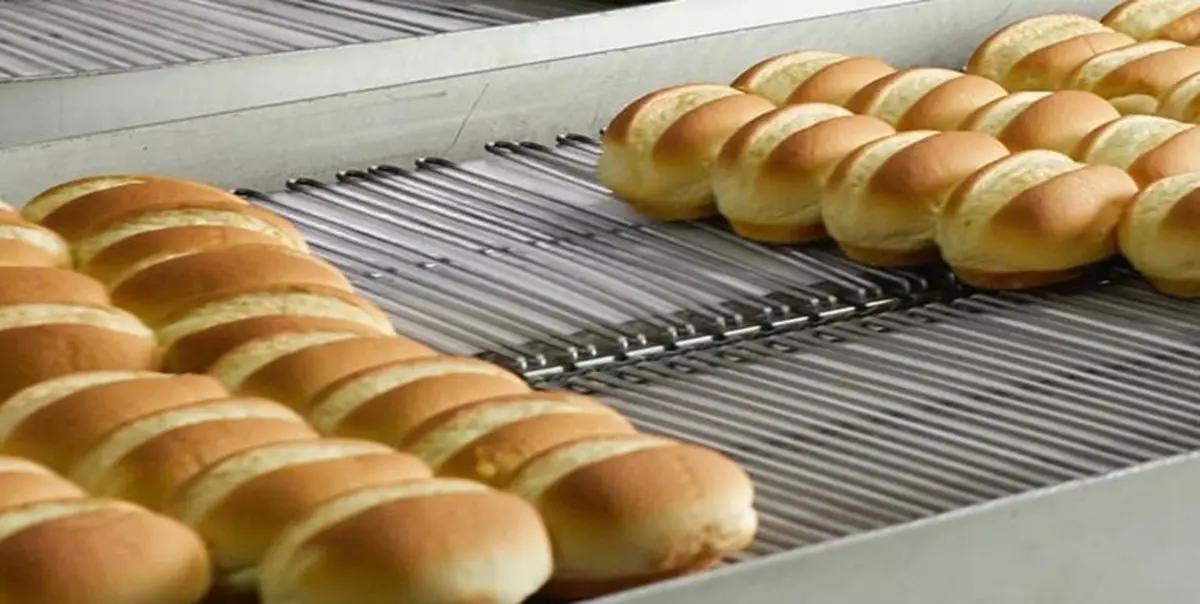  نانوایی های آمریکا نسبت به گرانی نان در تابستان هشدار دادند 