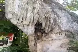 فیل سنگی لاویج در حال نابودی است + ویدئو