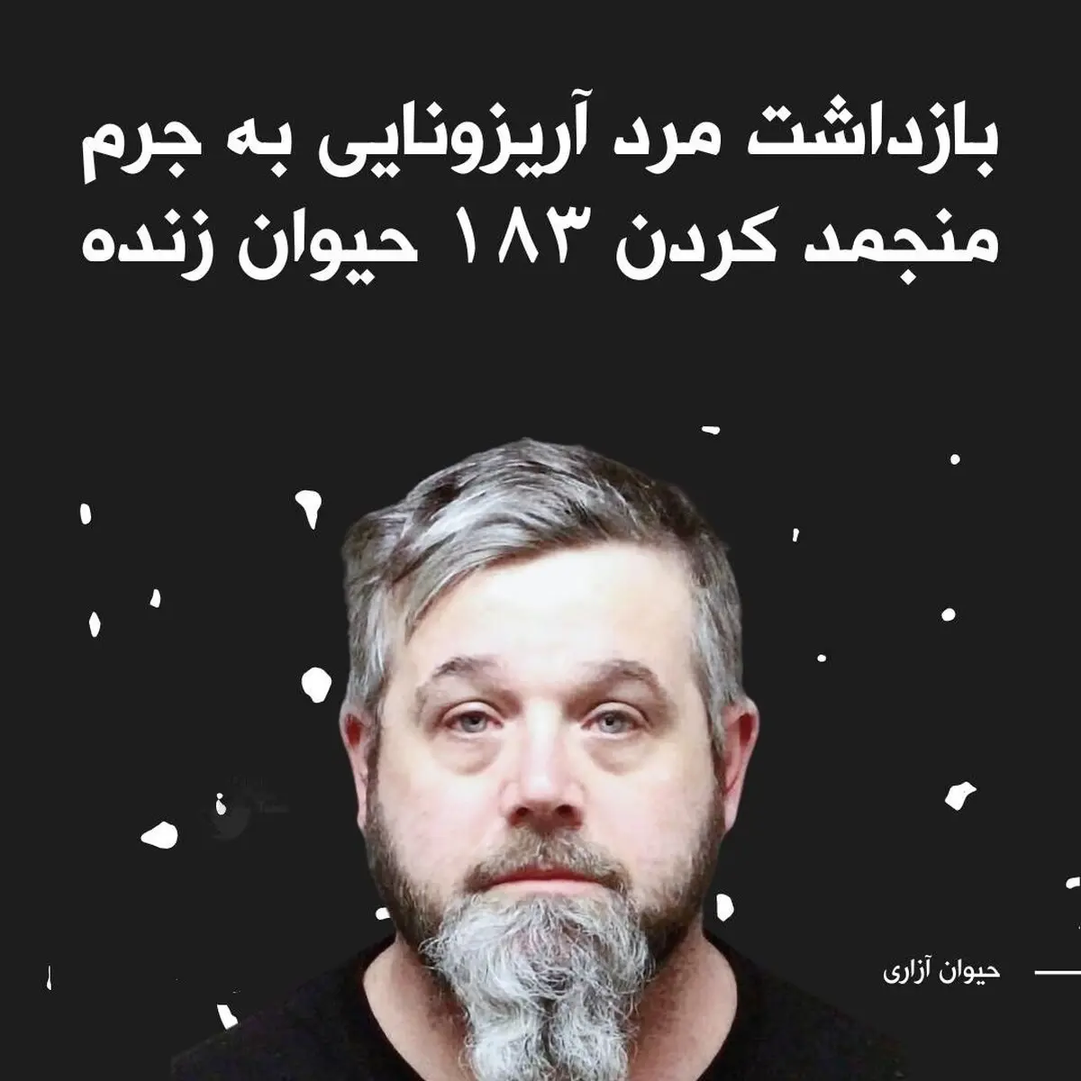 بازداشت مردی که ۱۸۳ حیوان از گونه‌های مختلف را در پارکینگ خانه خود نگهداری می‌کرد + تصویر 