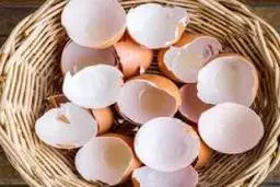 
 با خواص مفید بعضی از خوراکی‌ بیشتر آشنا شوید 