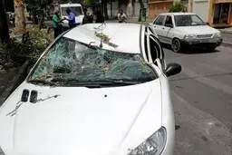 وزش باد در شیراز تلفات به جا گذاشت+ویدئو