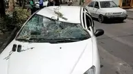 وزش باد در شیراز تلفات به جا گذاشت+ویدئو