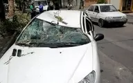 وزش باد در شیراز تلفات به جا گذاشت+ویدئو