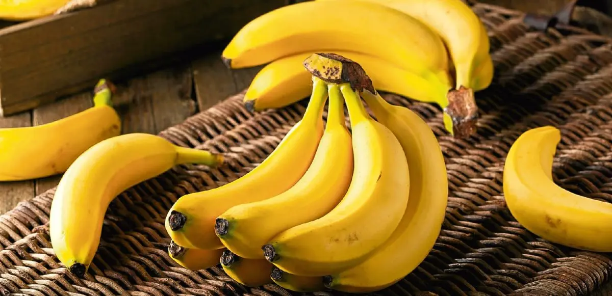 موز، دلیلی برای تندرستی در سنین بالا | خواص موز برای سالمندان