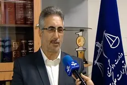 
مهمترین پرونده‌های تشکیل شده در تعزیرات مربوط به سایپا وایران خودور است