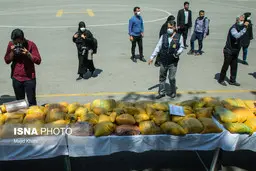 کشف بیش از ۱۴۵۰۰کیلوگرم موادمخدر در پایتخت