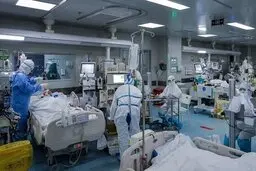 سرعت انتقال ویروس دلتا ۹۷ درصد است