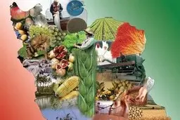 تصویر آینده امنیت غذایی ایران چگونه است؟ | خطر ناامنی غذایی