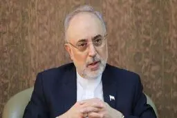 صالحی: در دوران ریاست جمهوری روحانی از منجنیق فلک سنگ فتنه می بارید