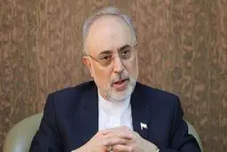 صالحی: در دوران ریاست جمهوری روحانی از منجنیق فلک سنگ فتنه می بارید