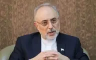 صالحی: در دوران ریاست جمهوری روحانی از منجنیق فلک سنگ فتنه می بارید