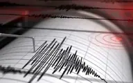 
 کرمان لرزید | خسارت زلزه اعلام شد