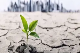 راز تاب آوری در جنگ: این نیز بگذرد!