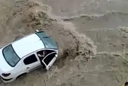 فرار دیوانه وار از سیلاب شدید! | همه نفس ها حبس شد تا نجات پیدا کرد! +ویدئو