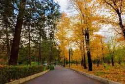 معروف ترین پارک های تهران را بشناسید | فضاهای سبز دنج تهران کجاست؟