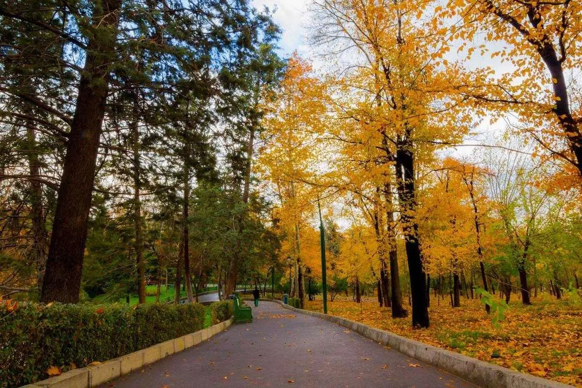 معروف ترین پارک های تهران را بشناسید | فضاهای سبز دنج تهران کجاست؟