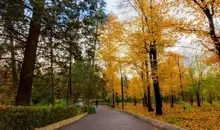 معروف ترین پارک های تهران را بشناسید | فضاهای سبز دنج تهران کجاست؟