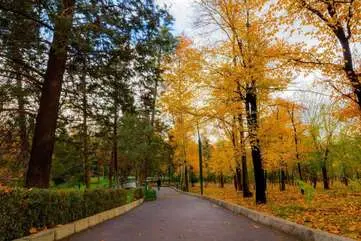 معروف ترین پارک های تهران را بشناسید | فضاهای سبز دنج تهران کجاست؟
