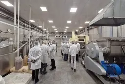 سفری به قلب شیرینی‌سازی ژاپن | اینجا کیک فقط یک دسر نیست، یک هنر دقیق و خوشمزه‌ست! +ویدئو