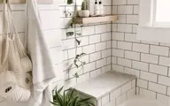 گیاهان خود را در حمام بگذارید  | چه گیاهانی را در حمام بگذاریم