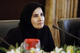 
معاون حقوقی رئیس‌جمهور  |   پیدا و پنهان تصویب لوایح FATF