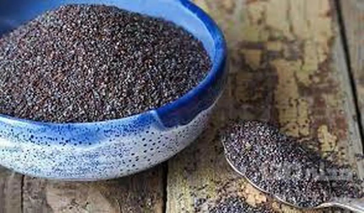 
براحتی لاغر شوید
