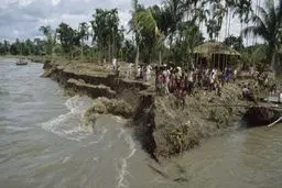    شنای 4 کیلومترمرد بنگلادشی برای درخواست داروی بیماری کرونا


