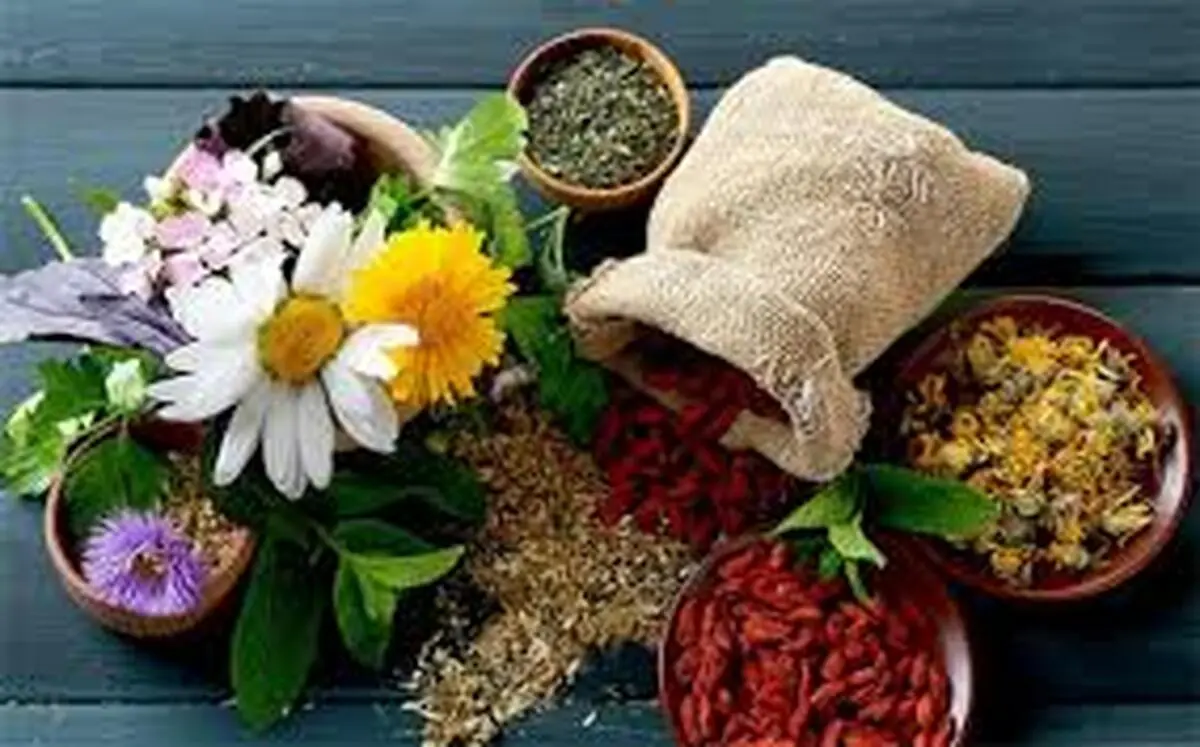 
علف لیمو؛ گیاهی برای تقویت سیستم ایمنی
