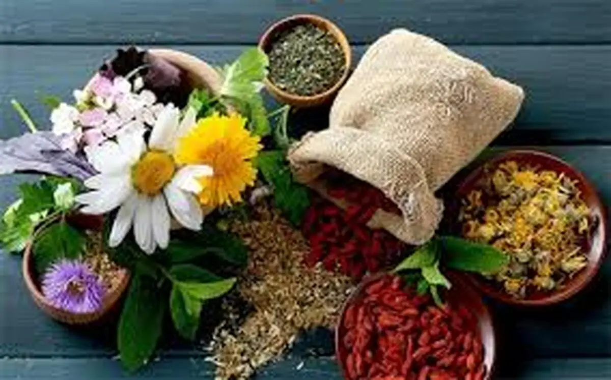 
علف لیمو؛ گیاهی برای تقویت سیستم ایمنی
